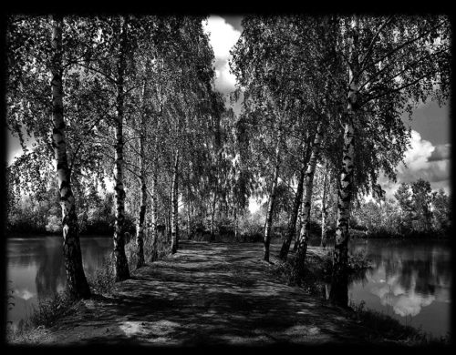 Пейзажи