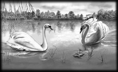 Пейзажи